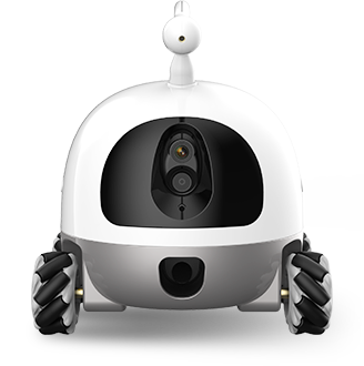 Rocky (출처: Rockybot.ai)