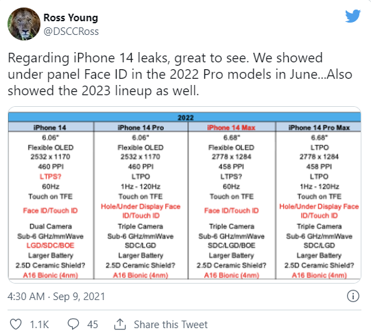 Ross Young 트위터
