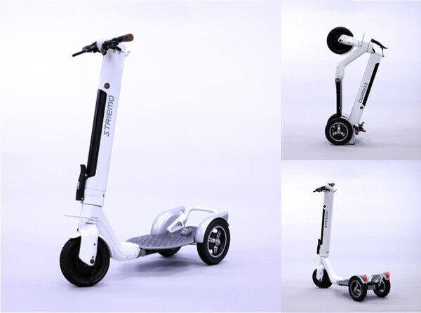 출처: Striemo
