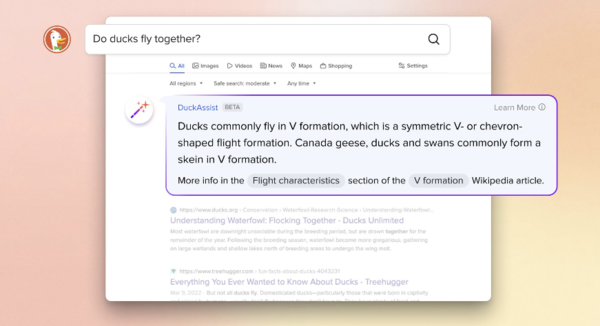 출처: DuckDuckGo