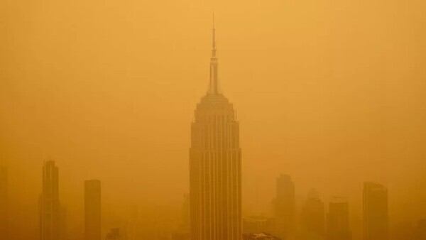 풀처: Getty Images