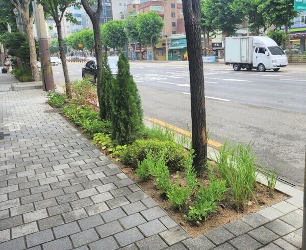 당산로에 조성된 '정원형 띠녹지'. 사진=영등포구