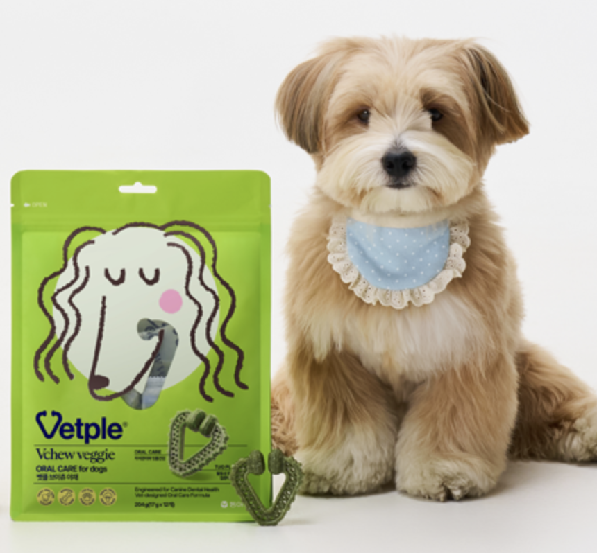 동아제약 벳플 반려견 덴탈껌 브이츄 ...